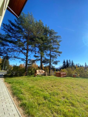 3 Sosny Apartments Strba